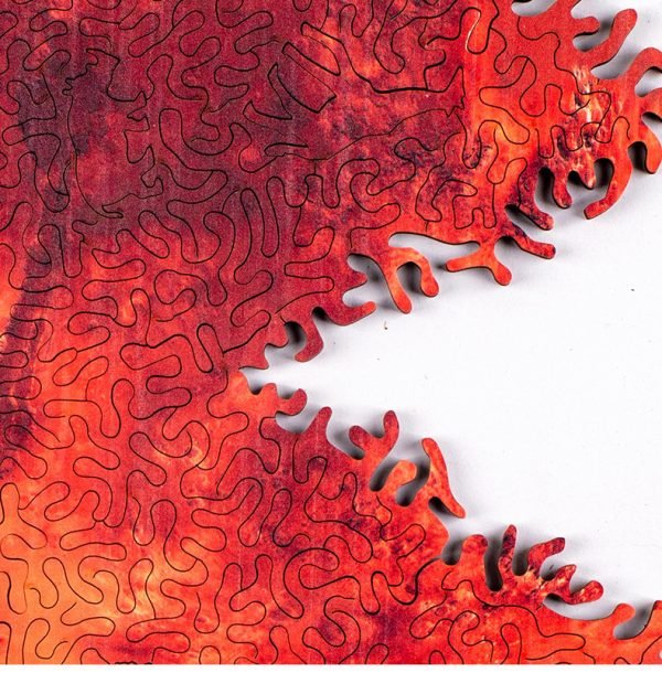 Puzzle en Bois - Planisphère Mars – Image 2